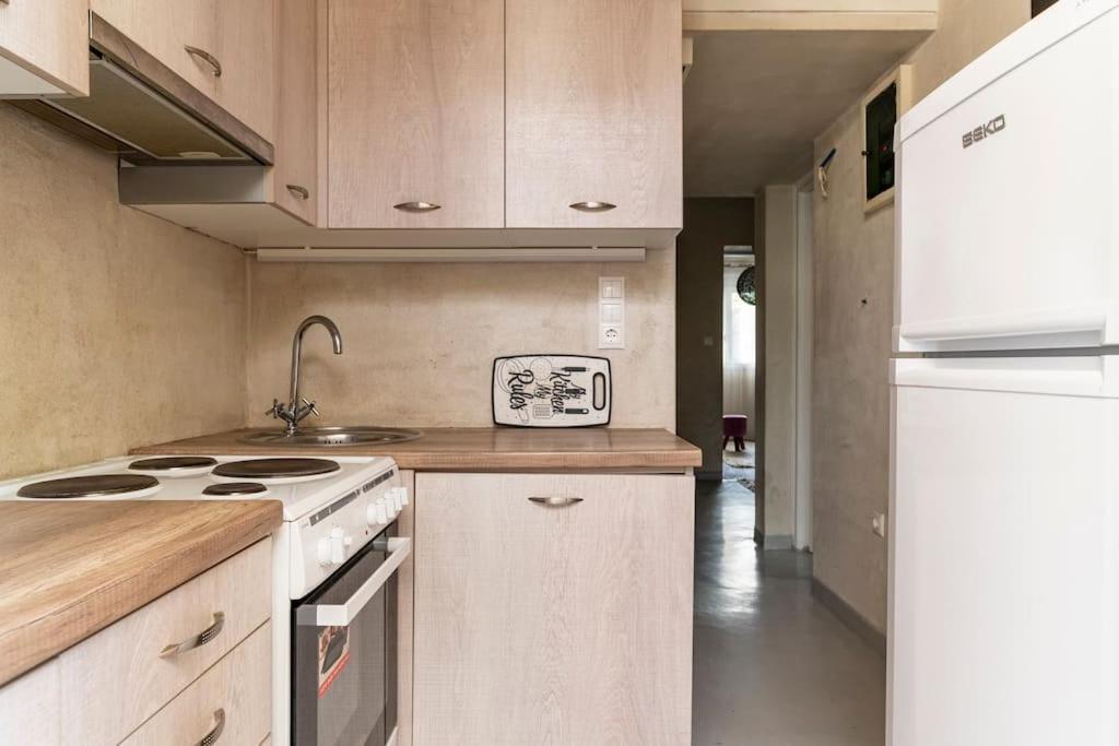 Cute Full Apt W/Backyard In Paleo Faliro アテネ エクステリア 写真