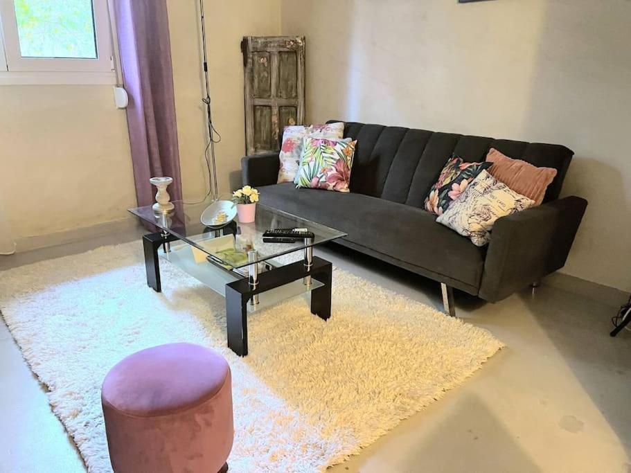 Cute Full Apt W/Backyard In Paleo Faliro アテネ エクステリア 写真
